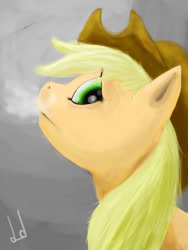 Size: 600x800 | Tagged: safe, artist:dogduck, applejack, earth pony, pony, breath, female, mare, solo