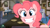 Size: 1280x716 | Tagged: safe, screencap, maud pie, pinkie pie, earth pony, pony, hearthbreakers, discovery family logo, grin, pie family home, smiling