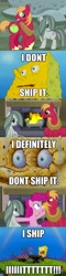 Size: 524x2176 | Tagged: safe, screencap, big macintosh, marble pie, pinkie pie, earth pony, pony, hearthbreakers, image macro, male, marblemac, meme, shipping, spongebob squarepants, stallion, straight, tea at the treedome