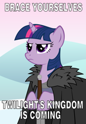 Size: 1025x1470 | Tagged: safe, artist:steampoweredstallion, derpibooru import, twilight sparkle, twilight sparkle (alicorn), alicorn, pony, season 4, twilight's kingdom, a song of ice and fire, brace yourselves, crossover, drama, drama bait, eddard stark, female, game of thrones, hilarious in hindsight, mare, meme, serious, solo, sword, twilight starkle, winter is coming