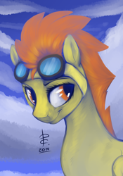 Size: 2694x3844 | Tagged: safe, artist:risterdus, derpibooru import, spitfire, goggles, solo