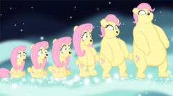 Size: 1280x704 | Tagged: safe, artist:megarainbowdash2000, fluttershy, bear, animorphs, bearified, flutterbear, open mouth, solo, species swap, transformation, transformation sequence, vector, wide eyes