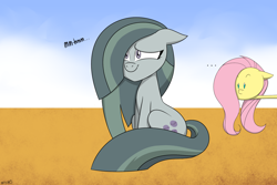 Size: 1800x1200 | Tagged: safe, artist:mofetafrombrooklyn, fluttershy, marble pie, pegasus, pony, ..., long neck