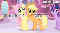 Size: 582x327 | Tagged: safe, screencap, applejack, fluttershy, twilight sparkle, earth pony, pegasus, pony, do not want, image macro, meme, not sure if want, varying degrees of want, want