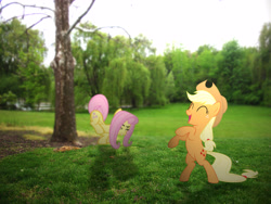 Size: 3968x2976 | Tagged: safe, artist:hachaosagent, artist:lightningtumble, artist:patec, applejack, fluttershy, bucking, cheering, irl, photo, ponies in real life, shadow, tree, upright, vector