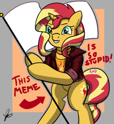 Size: 550x600 | Tagged: safe, artist:thedrizzle404, edit, edited edit, editor:gamedevanon, sunset shimmer, pony, unicorn, arrow, bipedal, choker, clothes, edit of an edit of an edit, female, flag, flag pole, grin, hoof hold, jacket, jewelry, leather jacket, looking at you, mare, meme, signature, smiling, solo, squee, standing upright, template, text, this cat is gay and there's nothing you can do about it