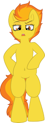 Size: 740x2018 | Tagged: safe, artist:daydreamsyndrom, derpibooru import, spitfire, pony, belly button, bipedal, solo, standing