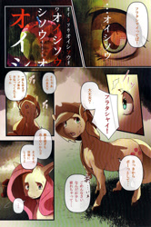 Size: 1995x3008 | Tagged: safe, artist:kolgha, artist:koruga, applejack, fluttershy, earth pony, pegasus, pony, apple, comic, doujin, explicit source, japanese