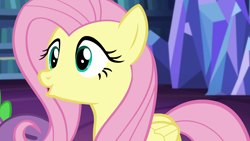 Size: 1920x1080 | Tagged: safe, fluttershy, spike, dragon, pegasus, pony, scare master, book, bookshelf, cute