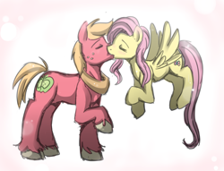 Size: 3322x2542 | Tagged: safe, artist:peachy-pudding, big macintosh, fluttershy, earth pony, pegasus, pony, fluttermac, kissing, male, shipping, simple background, stallion, straight