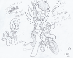 Size: 1024x807 | Tagged: safe, artist:artistbrony, derpibooru import, soarin', spitfire, monochrome, sketch, traditional art