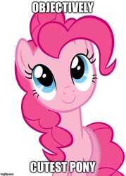 Size: 500x699 | Tagged: safe, pinkie pie, earth pony, pony, cute, image macro, meme, solo