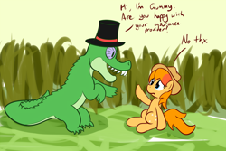 Size: 1000x666 | Tagged: safe, artist:whatsapokemon, gummy, oc, pony, insurance