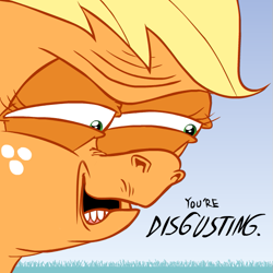 Size: 615x615 | Tagged: safe, artist:hotdiggedydemon, applejack, earth pony, pony, close-up, disgusted, face, jappleack, reaction, solo, text