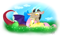 Size: 2000x1250 | Tagged: safe, artist:pillonchou, discord, fluttershy, pegasus, pony, discoshy, female, male, shipping, straight