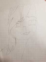 Size: 1536x2048 | Tagged: safe, artist:klutyzdragon, derpibooru import, rainbow dash, pegasus, pony, graph paper, grid paper, lined paper, pencil drawing, solo, traditional art