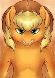 Size: 765x1078 | Tagged: artist needed, safe, edit, applejack, earth pony, pony, grin, hat, mirrored, rapeface, solo, unitinu