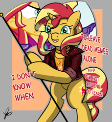 Size: 550x600 | Tagged: safe, artist:thedrizzle404, edit, edited edit, sunset shimmer, pony, unicorn, equestria girls, friendship games, bipedal, choker, clothes, crossing the memes, edit of an edit of an edit, exploitable meme, female, flag, flag pole, grin, hoof hold, image macro, jacket, jewelry, leather jacket, looking at you, mare, meme, signature, smiling, solo, squee, standing upright, sunset is not willing to learn, text, this cat is gay and there's nothing you can do about it