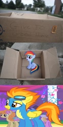 Size: 1320x2656 | Tagged: safe, derpibooru import, spitfire, dashie meme, exploitable meme, meme