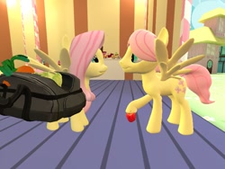 Size: 800x600 | Tagged: safe, butterscotch, fluttershy, pegasus, pony, fanfic:on a cross and arrow, 3d, apple, carrot, female, flutterscotch, food, gmod, love, male, rule 63, self ponidox, selfcest, shipping, straight