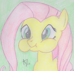 Size: 2292x2189 | Tagged: safe, artist:artemissunlulamoon, fluttershy, pegasus, pony, puffy cheeks, solo, traditional art