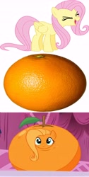 Size: 3792x7512 | Tagged: safe, screencap, fluttershy, what about discord?, dragon ball z, flutterrange, food, fusion, image macro, inanimate tf, meme, orange, orangified, transformation