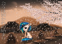 Size: 1052x759 | Tagged: safe, artist:stein-vs, derpibooru import, dj pon-3, vinyl scratch, pony, unicorn, cherry blossoms, flower, solo, tree, wallpaper