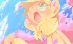 Size: 512x308 | Tagged: safe, artist:miki 14, applejack, earth pony, pony, cherry blossoms, female, mare, solo