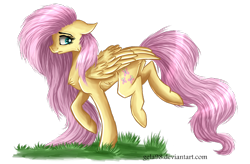 Size: 800x526 | Tagged: safe, artist:gela98, fluttershy, pegasus, pony, female, mare, pink mane, solo, yellow coat