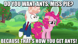 Size: 800x450 | Tagged: safe, screencap, pinkie pie, svengallop, earth pony, pony, the mane attraction, archer (show), food, image macro, meme, oats, plate, sad, yelling