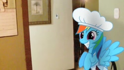 Size: 1280x720 | Tagged: safe, derpibooru import, rainbow dash, pony, chef, irl, photo, ponies in real life, smiling, solo, wings