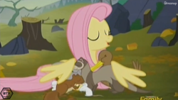 Size: 1366x768 | Tagged: safe, screencap, fluttershy, pegasus, pony, the hooffields and mccolts, discovery family logo, fluttermom