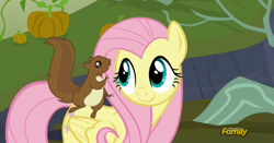 Size: 1361x711 | Tagged: safe, screencap, fluttershy, pegasus, pony, squirrel, the hooffields and mccolts, cute, discovery family logo