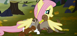 Size: 1358x633 | Tagged: safe, screencap, fluttershy, duck, ferret, mouse, pegasus, pony, squirrel, the hooffields and mccolts, animal, cropped, discovery family logo, female, hug, mare, winghug