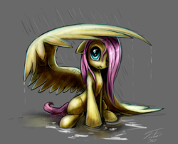 Size: 900x731 | Tagged: safe, artist:tsitra360, fluttershy, pegasus, pony, female, hair over one eye, mare, one eye closed, rain, sitting, solo, wing umbrella