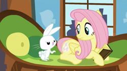 Size: 1904x1067 | Tagged: safe, screencap, angel bunny, fluttershy, pegasus, pony, the hooffields and mccolts, book, glowing cutie mark, looking back