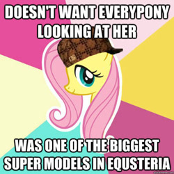 Size: 310x310 | Tagged: safe, fluttershy, pegasus, pony, green isn't your color, female, hat, image macro, irony, mare, meme, scumbag hat, solo