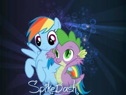 Size: 600x450 | Tagged: safe, derpibooru import, rainbow dash, spike, dragon, pegasus, pony, female, male, rainbowspike, shipping, straight