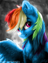 Size: 3529x4600 | Tagged: safe, artist:gaelledragons, artist:skittle_cuddler, color edit, derpibooru import, edit, rainbow dash, pegasus, pony, colored, half body, looking at you, signature, smiling, solo, spread wings