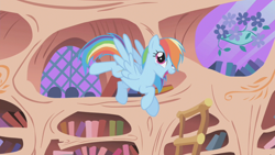 Size: 1280x720 | Tagged: safe, derpibooru import, screencap, rainbow dash, pegasus, pony, the ticket master, bookshelf, female, flying, golden oaks library, ladder, mare, solo