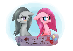 Size: 1200x850 | Tagged: safe, artist:phyllismi, marble pie, pinkie pie, earth pony, pony, banner, blushing, chinese, floppy ears, frown, glare, hair over one eye, looking back, pie sisters, pie twins, pinkamena diane pie, shy, sisters, sitting