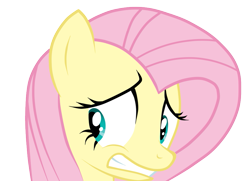 Size: 951x687 | Tagged: safe, artist:misakichu, fluttershy, pegasus, pony, hurricane fluttershy, anxiety, cringing, face, nervous, reaction image, simple background, solo, transparent background, vector, worried