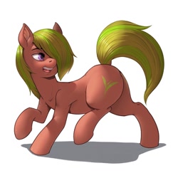 Size: 900x900 | Tagged: safe, artist:kevinsano, derpibooru import, oc, oc only, oc:tea leaf, earth pony, pony, plot