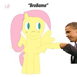 Size: 700x700 | Tagged: safe, fluttershy, pegasus, pony, 1000 hours in ms paint, barack obama, ms paint, pun