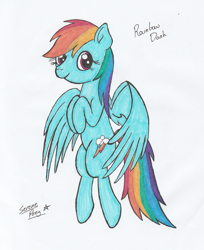 Size: 1869x2293 | Tagged: safe, artist:serenepony, derpibooru import, rainbow dash, pegasus, pony, simple background, solo, traditional art