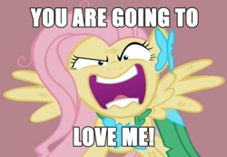 Size: 500x345 | Tagged: safe, fluttershy, pegasus, pony, the best night ever, exploitable meme, flutterrage, meme, old meme, you're going to love me