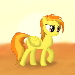 Size: 822x822 | Tagged: safe, artist:spitshy, derpibooru import, spitfire, pegasus, pony, female, mare, solo, two toned mane, wings, yellow coat