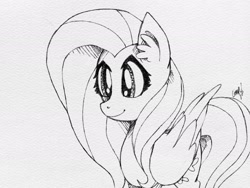 Size: 2048x1536 | Tagged: safe, artist:mylittlelevi64, fluttershy, pegasus, pony, black and white, folded wings, grayscale, simple background, solo