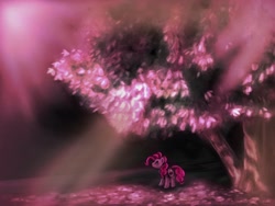 Size: 1280x960 | Tagged: safe, artist:causticeichor, pinkie pie, earth pony, pony, cherry blossoms, pink, sakura pie, solo, tree