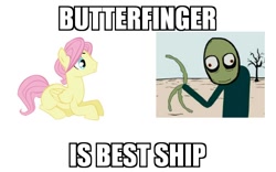 Size: 640x400 | Tagged: safe, butterscotch, fluttershy, pegasus, pony, butterfinger, crack shipping, image macro, meme, rule 63, salad fingers, shipping